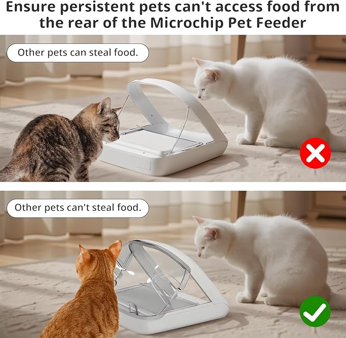 Rear Cover for Automatic Microchip Cat Pet Feeder - Prevents Persistent Pet from Getting Food from The Back of The Feeder (2 Pack)