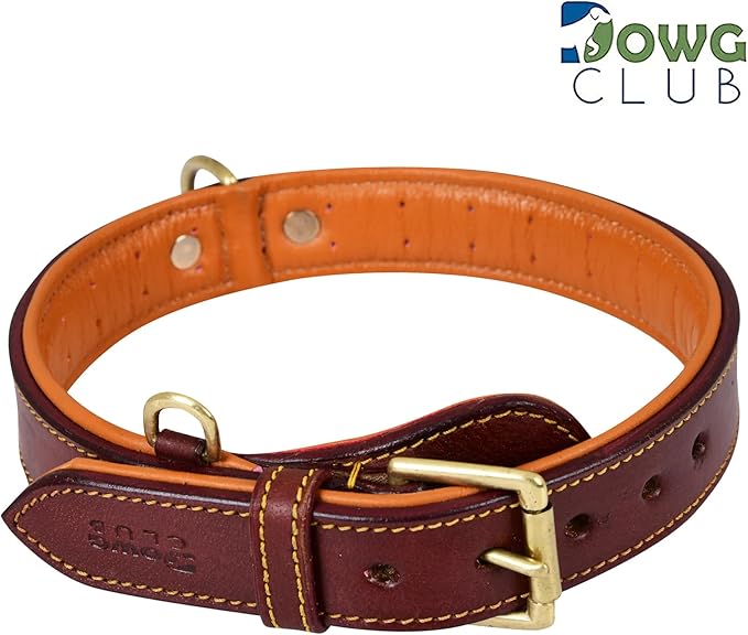 Genuine Leather Dog Collar – Full Grain, Breathable Inner Padding, Padded Buckle – Heavy Duty, Adjustable for Small, Medium, Large & XL Breeds | (X-Large (Fit Neck Size 22"-26"), Dark Brown)