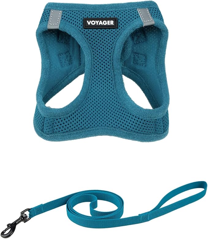 Voyager Step-in Pet Harness - All Weather Mesh, Adjustable Step in Harness for Cats and Dogs by Best Pet Supplies - 307S Turquoise, XS