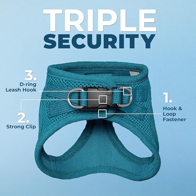 Voyager Step-in Pet Harness - All Weather Mesh, Adjustable Step in Harness for Cats and Dogs by Best Pet Supplies - 307S Turquoise, XS