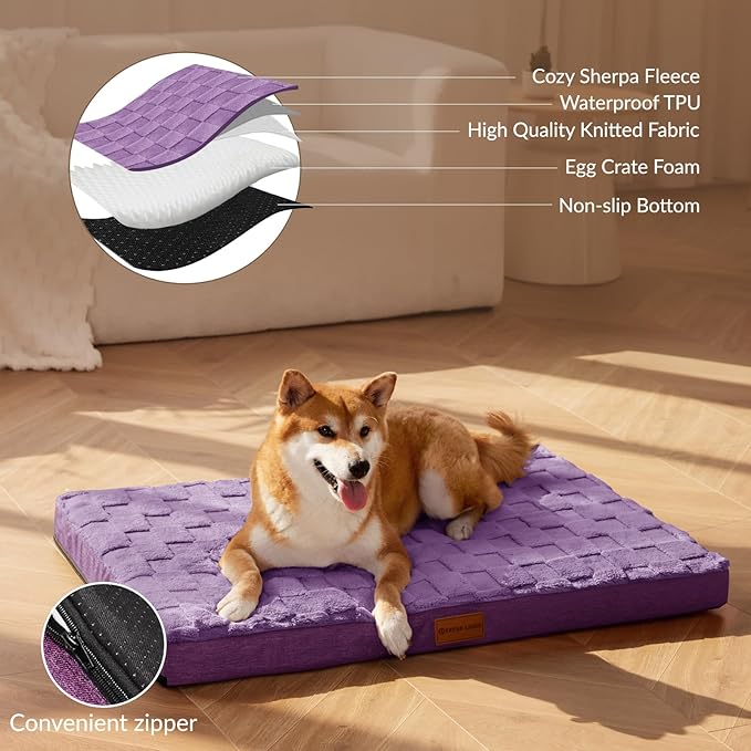 Patas Lague Orthopedic Dog Bed Large Sized Dog 36''X24'', Waterproof Soft Comfortable Egg Crate Foam Large Pet Beds Crate Mat with Removable Washable Cover and Nonskid Bottom, Pueple