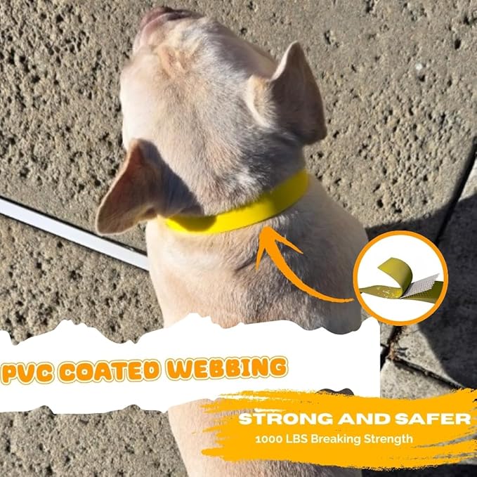 Waterproof Dog Collar, Soft Comfortable Pet Collars, Adjustable Odor Proof Heavy Duty Dog Collars Easy to Clean for Large, Medium Small Dogs by Bee N Buu (Yellow, Medium (length12-16, Width 3/4"))