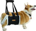 Dog Lift Harness Sling for Medium Dogs - Adjustable No-Slip Rear Leg Support with Padding & Back Fixed Buckle, Hip Dysplasia/ACL/TPLO Surgery Recovery Aid, Dog Sling for Injured,Disabled/Senior Dogs
