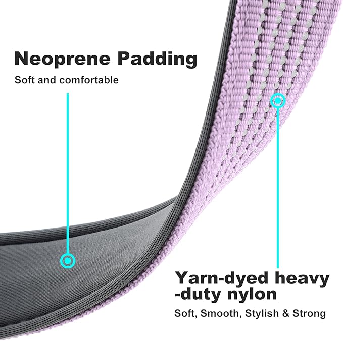 Plutus Pet Reflective Dog Collar with Aviation Aluminum Buckle, Neoprene Padded for Comfort, Lightweight, Heavy Duty Nylon Collar for Puppy Small Medium Large Dogs (Lilac Purple, M)