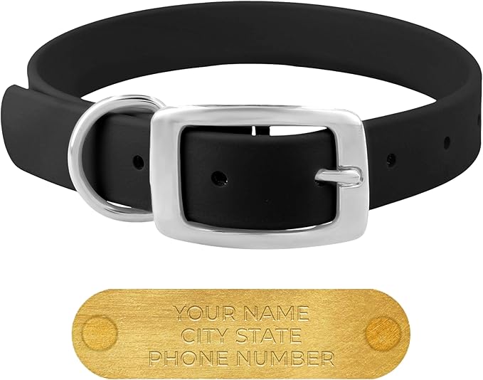 Regal Dog Products Small Black Waterproof Dog Collars with Custom Engraved Name Plate | Vinyl Coated, Anti, Easy to Clean Personalized Biothane Dog Collar - Other Sizes for Medium & Large Dogs
