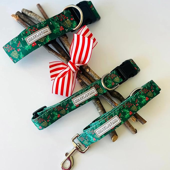 Lucky Love Dog - Easy Click Holly Dog Collar with Leash Set Combo, Durable & Comfortable for Male & Female Dogs, Pet Collar for Small Dogs, Secure Fit - Holly Combo, XS
