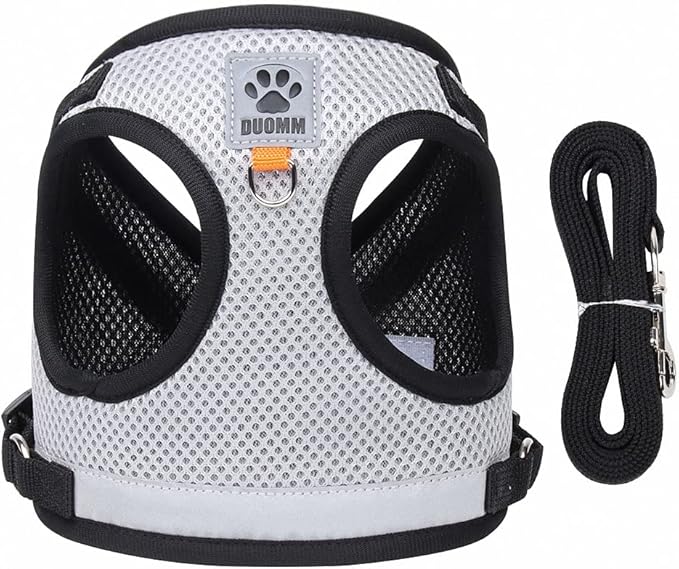Dog Harness and Leash Set-No Pull No Choke Step-in Pet Harness for All Weather Lightweight Adjustable Cat Harness Breathable Soft Mesh Puppy Vest with Hook & Loop Fastener Buckles D-Rings-Gray-M