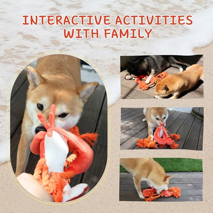 Large Squeaky Dog Toys, Rope Tug of War Dog Toys for Puppy, Small, Medium, Large Dogs, Interactive Stuffed Lobster Plush Toys