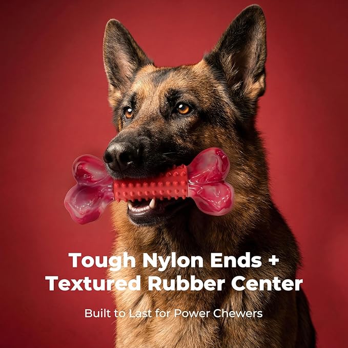 Apasiri Tough Dog Toys for Aggressive Chewers Beef Flavor: 8" Dog Chew Bone for Large Breed, Nylon & Rubber Chew Toy for Medium Large Dogs