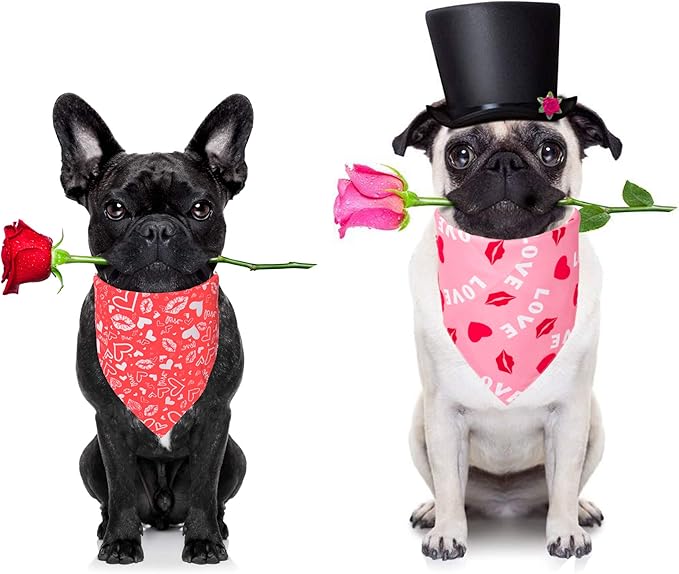 ADOGGYGO Valentine Dog Bandana, Multiple Sizes Offered, Reversible Triangle Dog Scarf Pet Bandana for Medium Large Dogs (Large)