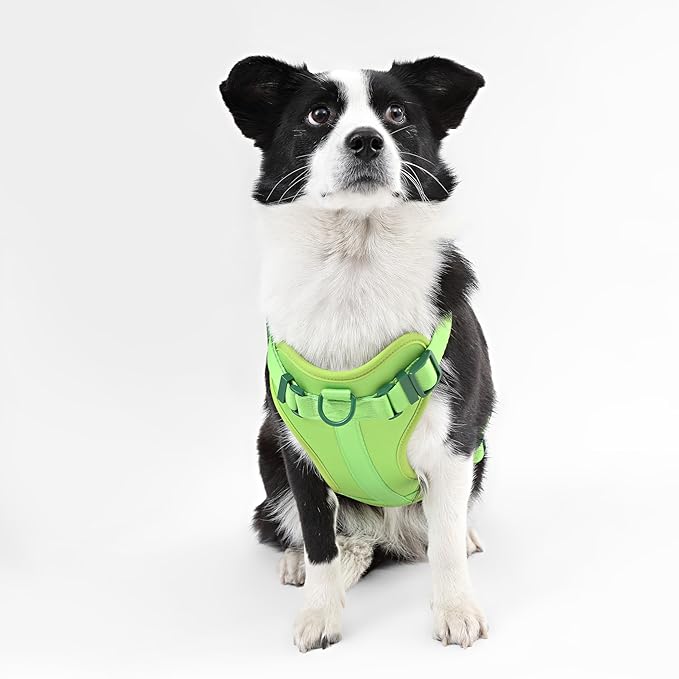 HNS1003B Arlo Large Adjustable Soft Padded No Pull Pet Harness with 3 Buckles and 3 Leash Clips, Mojito