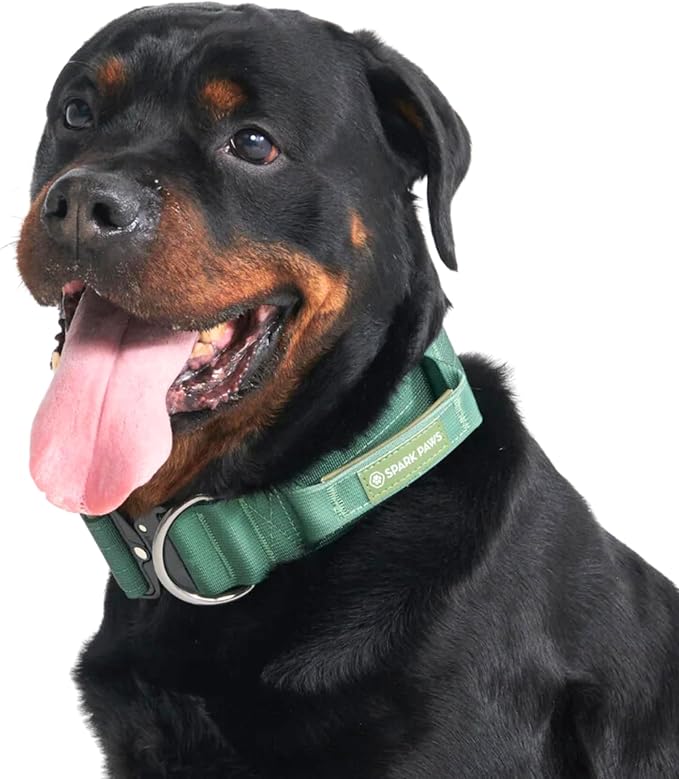 Spark Paws Tactical Dog Collar - Heavy Duty, Premium Quality, Thick and Durable for Large and Medium Dogs - Solid Green - L