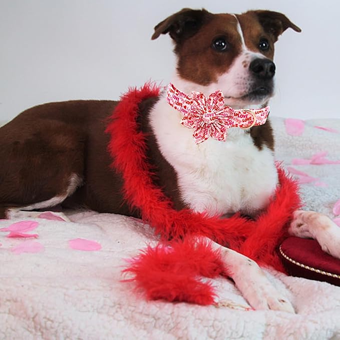 Elegant little tail Valentine's Day Dog Collar, Valentine's Day Dog Collar with Flower, Heart Dog Collar Cute Girl or Boy Dog Collar Flower Pet Gift Adjustable Dog Collar for Medium Dogs
