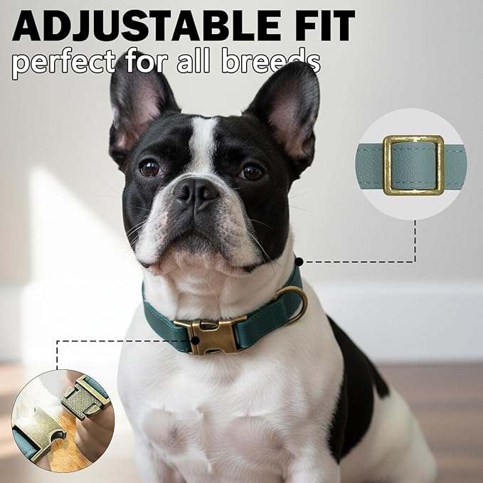 Leather Dog Collar Silicone Soft Flexible Waterproof Odor-Proof Durable Thick Classic Adjustable Pet Puppy Collar Dog Collars for Small Dogs(Green, Small (9-14" Neck))