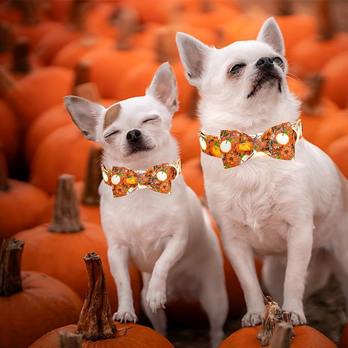 Elegant little tail Halloween Dog Collar, Pumpkin with Flower Print Halloween Pet Collars Puppy Collar with Bow Cute Adjustable Collars for Small Medium Large Dogs