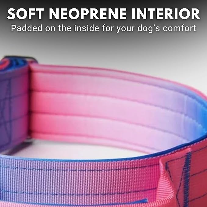 Tactical Dog Collar with Handle - Premium Quality Collar, Robust and Durable Design for Large, Strong Breeds - Pitbulls, Labradors, GSD - Snow Cone - L
