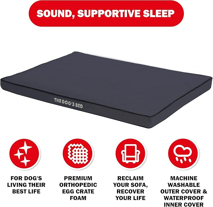 The Dog’s Bed Orthopedic Standard Foam Dog Bed Mattress, Oxford Fabric, Grey with Black Trim, XL