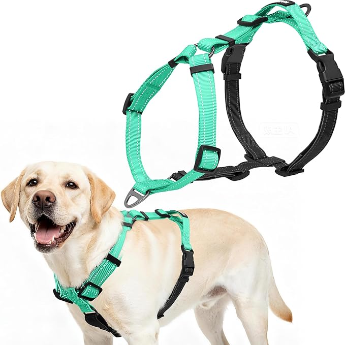 Dog Harness,Adjustable No Pull Dog Harness,Y-Shaped Design,Buckle-Neck Balance Harness with Reflective, Ideal for Dog Training Hiking, Easy Walk Harness,Durable High-Tensile Nylon Aqua Green-L