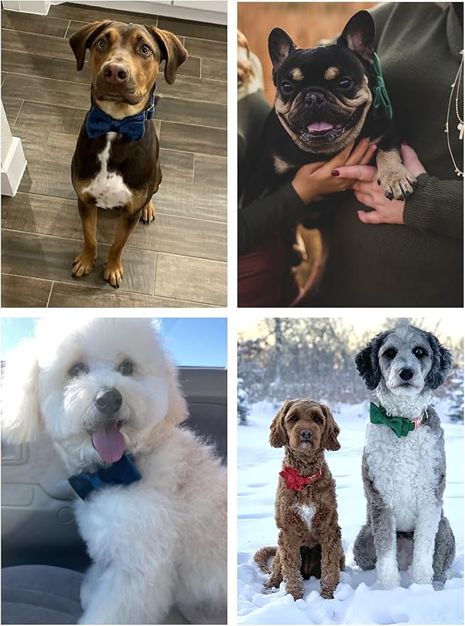 ARING PET Velvet Dog Collars with Bow tie, Dog Bowtie Collar, Adjustable Green Dog Collar,Medium.
