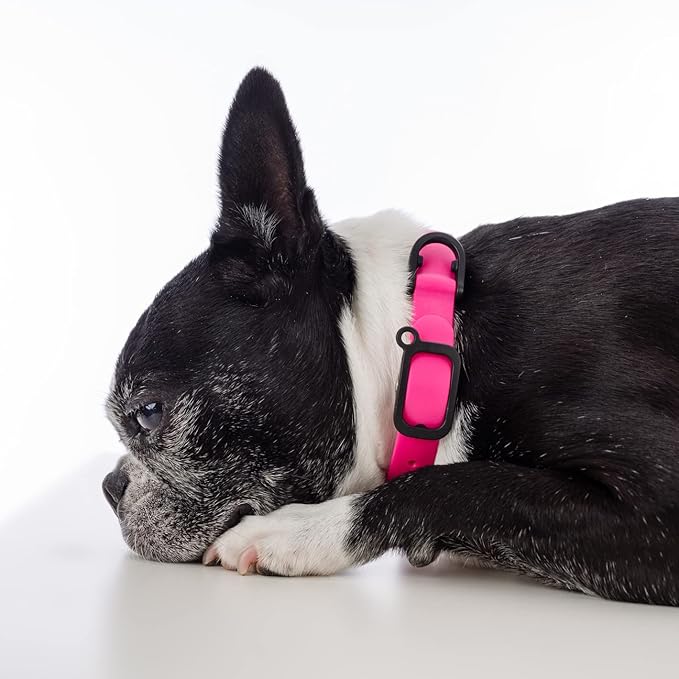 Waterproof Dog Collar - Durable, Comfortable and Adjustable Outdoor Dog Collar with Wear Resistant Buckle and ID Tag Ring for Small Dogs by Nuvuq (Pink, Small)