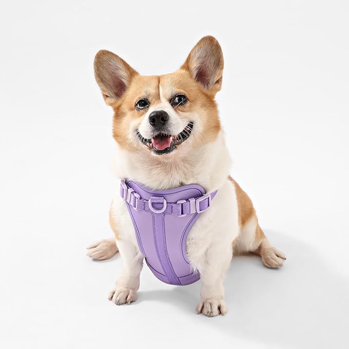 HNS1002H Arlo Medium Adjustable Soft Padded No Pull Pet Harness with 3 Buckles and 3 Leash Clips, Bramble