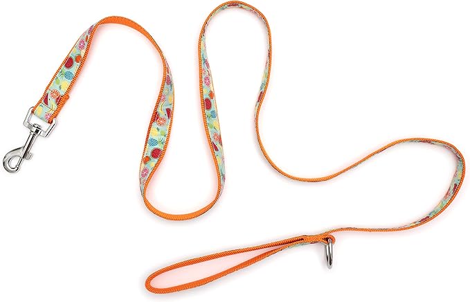 THE WORTHY DOG Tutti Frutti Patterned Nylon Leash for Dogs, Stylish, Durable, Woven Ribbon - Blue/Orange, Small