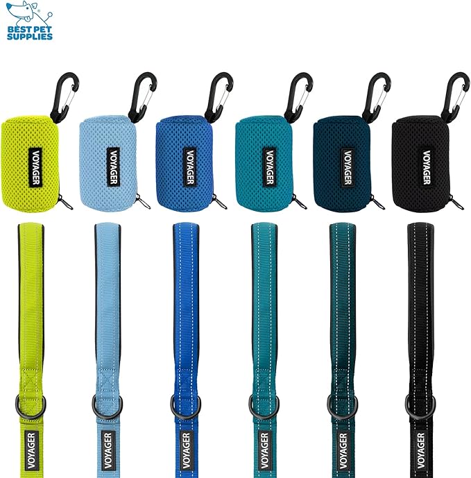 Best Pet Supplies 2-Pack Dog Poop Bag Holder Leash Attachment, Color, Reusable Mesh Dispenser Pouch for Travel, Walking, Park, and Outdoor Use, Soft and Durable with Clip-On - Mesh Baby Blue
