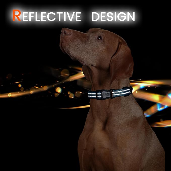 Reflective Dog Collar with QR Code Tag, Personalized Dog Collar, Safety Night Visibility, Anti-Loss Function (Blue, Large)