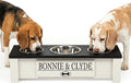 GTW Personalized Elevated Triple Dog Bowl Stand for Large, Medium, Small, X-Small Dogs - 3 Stainless Steel Food and Water Bowls - Raised Dog Dish with Internal Storage (Small, Black)