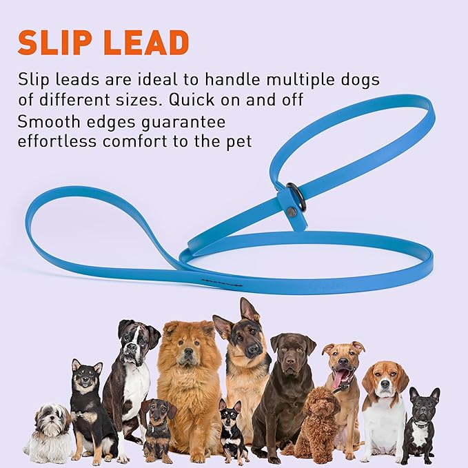 Dogline Biothane Slip Dog Leash - for Small, Medium and Large Dogs - Odor Free Slip Lead, Heavy Duty and Durable Material Kennel Lead - Cerulean Blue - 7ft L x 1/2in W
