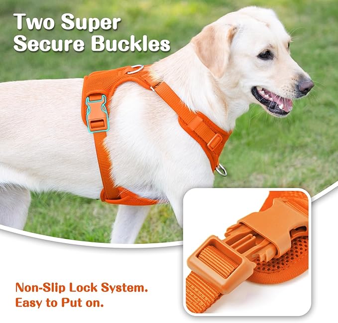 No Pull Dog Harness for Small Medium Large Dogs - Adjustable 2 Layer Mesh Dog Vest with Dual Clip, Escape Proof, Quick Release, Lightweight Breathable Mesh for Walking Hiking (Orange,XL)