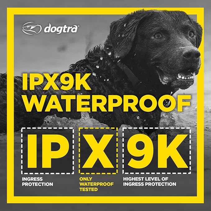 Dogtra 1900S Black - Remote Training Collar - 1 Mile Range, Waterproof, Rechargeable, Static, Vibration - Includes PetsTEK Dog Training Clicker