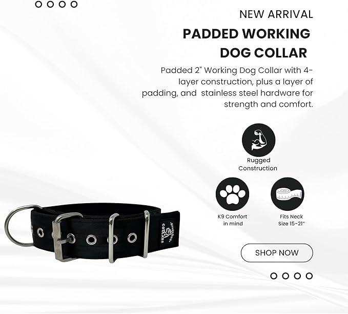 SparkDog Collars Working Dog Collar - 2" 4ply Padded Dog Collar Heavy Duty Stainless Steel Tactical Seatbelt Wide Buckle Collar (Black 2.0, 16-21" Large)