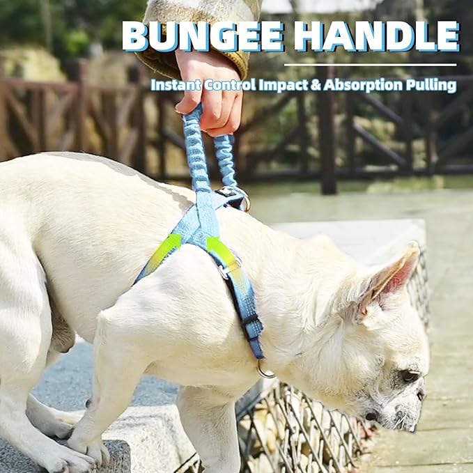 PUPTECK No Pull Dog Harness Small Sized Dog, Adjustable Reflective Pet Vest Harness with Bungee Handle, Escape Proof No Choke Harness for Small Dogs Walking Training, Sky Blue M