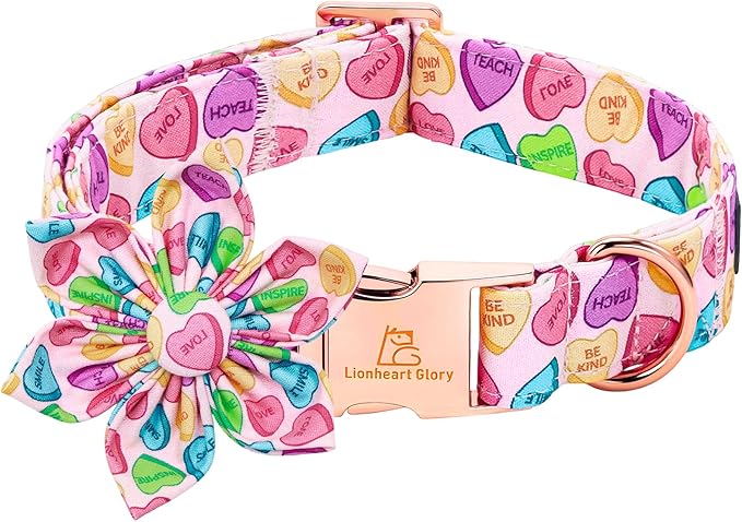 Lionheart glory Dog Collar with Flower - Valentine's Day Dog Collar for Large Dogs Hearts Print Collars Adjustable Sturdy with Flower Spring Cute Collars Male Female Dogs