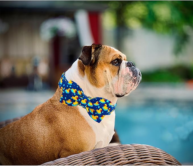 Lionheart glory Dog Bow Collar Ducky Pattern Cute Boy Collars for X-Small Dogs,Soft Duty Adjustable Dog Collar with Bowtie Spring Summer Puppy Collars Bows Pet Gift