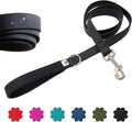Wildebeest Funston Waterproof Dog Leash - Heavy Duty 4ft Long Leash for Small, Medium and Large Dogs - 1000D Nylon, Scratch & Stink-Resistant & Pill-Free - Nylon Wrap Handle (3/4" Wide, 4 ft Length)