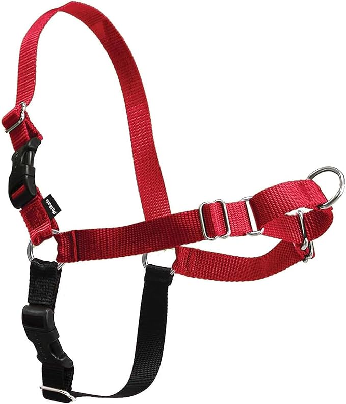 PetSafe Easy Walk Harness for Dogs - Pull-Free Walks - Patented Martingale Loop Design - Front Chest Leash Attachment - Comfort Straps - Breathable Harness Design - Large, Red/Black