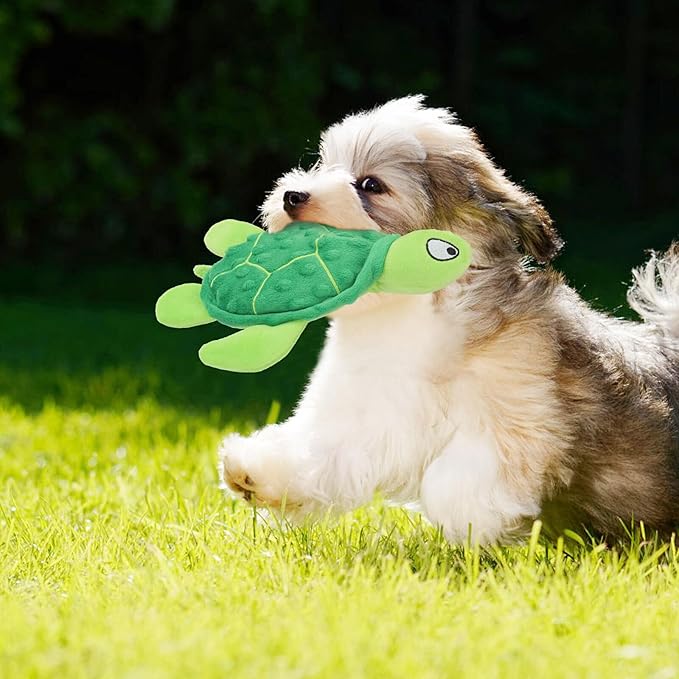 Squeaky Sea Turtle Plush Dog Toy - Durable, No Stuffing, Interactive Chew Toy for Small Dogs - Relieve Anxiety, Teething, and Keep Them Busy for Puppy(Green)