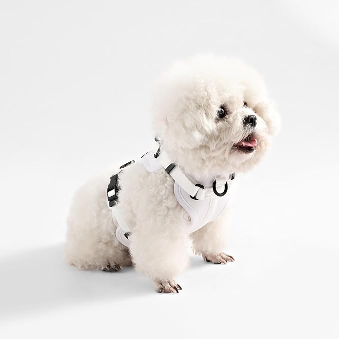HNS1001F Arlo Small Adjustable Soft Padded No Pull Pet Harness with 3 Buckles and 3 Leash Clips, Seltzer