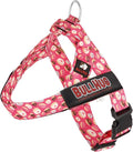 BULLHUG Adjustable Dog Harness– No Pull, No Choke – for English Bulldogs, French Bulldogs, Pugs & Broad-Chested Breeds – Easy, Safe Walks (Donuts, XL)