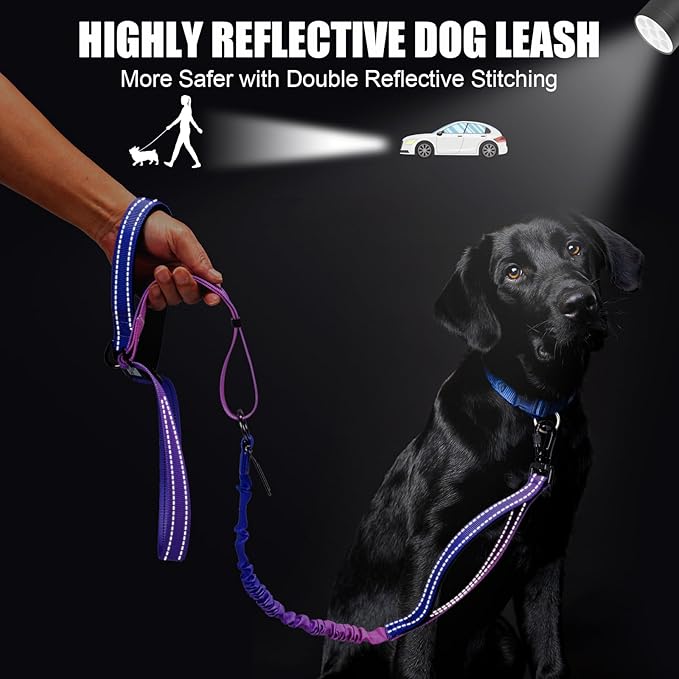 Heavy Duty Hands Free Dog Leash, 4-6 FT Reflective Adjustable Waist Dog Leash Belt with Padded Handles, Shock Absorbing Bungee and Car Seat Belt for Large Medium Dogs (Purple Blue, L)