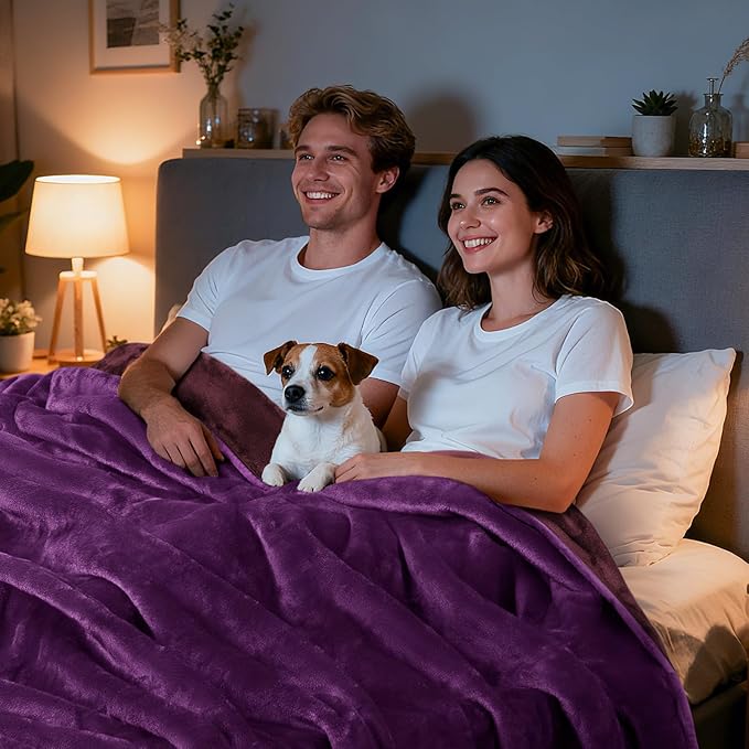 LOOBANI Waterproof Blanket for Bed: Reversible Soft Flannel Queen Bed Blanket 80" x 90", Waterproof Dog Blankets for Large Dogs, Spill-Proof Cover for Furniture Protection, Movie Time, Purple