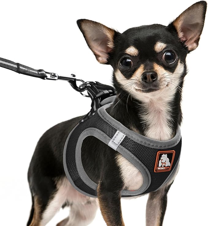 Dog Harness Medium Sized Dogs, Puppy Harness and Leash Set for Training, Running, Walking, Suitable for Small and Medium Dog Vest, Black, M