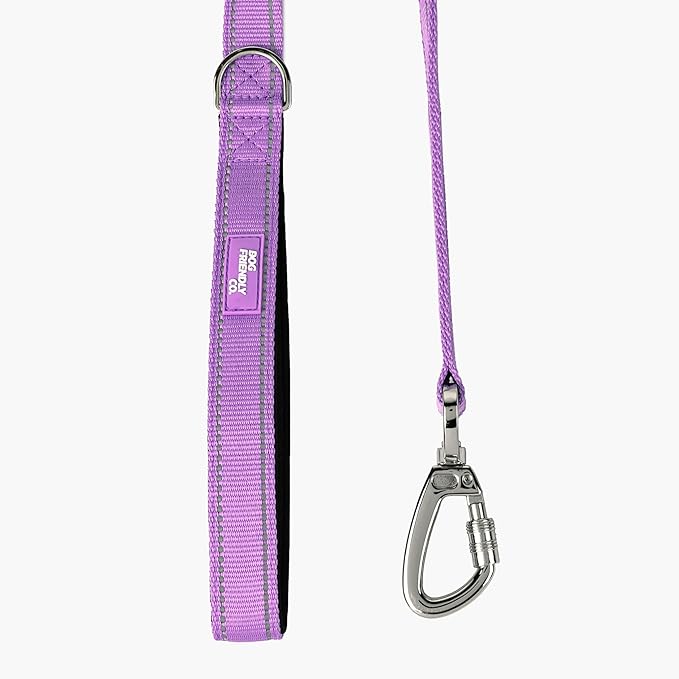 DF Co. Close Control Short Trainer Dog Leash | Strain Free & Shock Resistant, Durable Material, 65cm in Length, Heavy Duty Clips & D-Ring (Purple, Small)