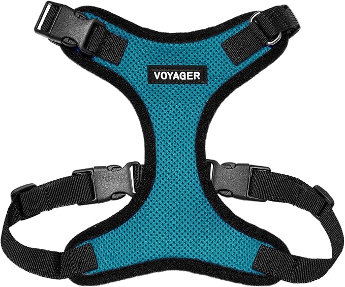Voyager Step-in Pet Harness - All Weather Mesh, Adjustable Step in Harness for Cats and Dogs by Best Pet Supplies - Turquoise/Black Trim, L