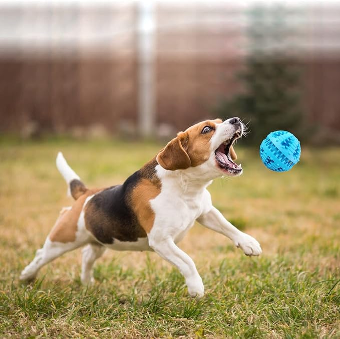 2 Pcs Dog Toy Teeth Ball,Dog Puzzle Toy,Treat Dispensing Dog Toys,Non Toxic Tear Resistant Natural Rubber Toy Ball for Pet Teeth Cleaning/Chewing/Playing/Training (Blue+Blue, 3.15in)