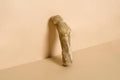 Coffee Wood Dog Chew Stick - 100% Natural Toy Safe, Durable M (Single)
