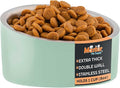 Master Pet Supply Stainless Steel Slanted Dog Cat Food Bowl - 8 oz Heavy Duty - Pistachio, Double Wall Insulated, Non-Slip Elevated Bowl for French Bulldogs Pugs Cats, Anti Rust Dishwasher Safe