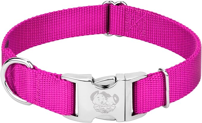 Country Brook Petz - Premium Nylon Dog Collar with Metal Buckle for Small Medium Large Breeds - 10+ Cool Colors (Small, 3/4 Inch, Fuchsia)